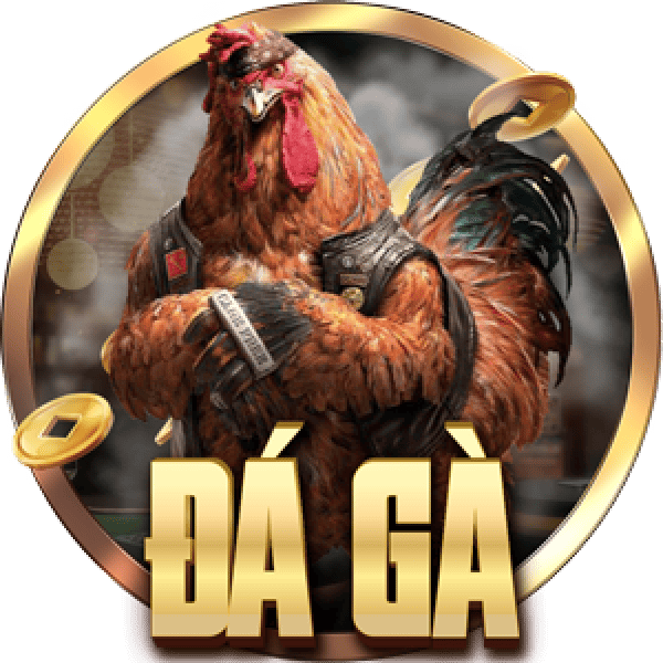 Đá gà mebet